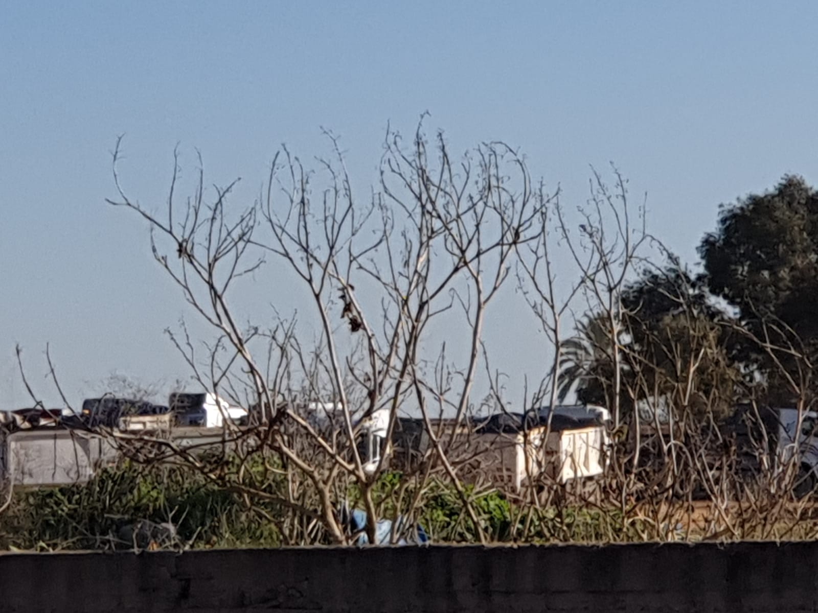 WhatsApp Image 2020-02-06 at 8.39.41 AM.jpeg.jpeg